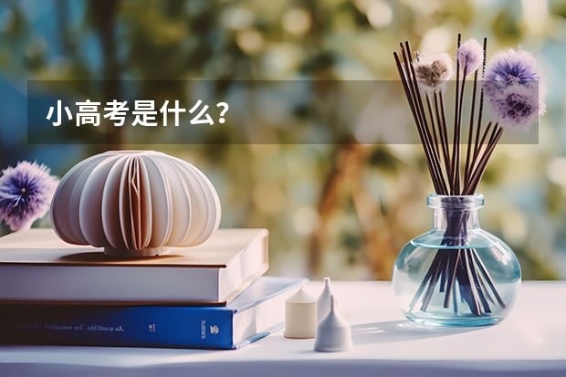 小高考是什么？