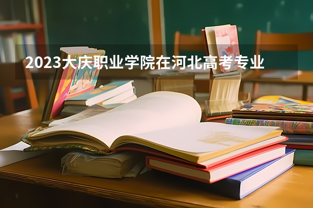 2023大庆职业学院在河北高考专业招生计划人数