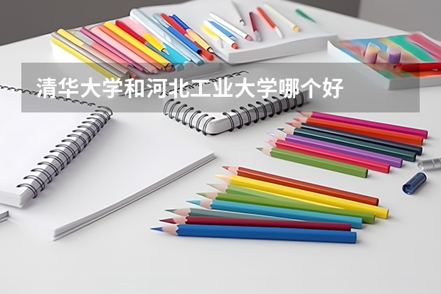 清华大学和河北工业大学哪个好