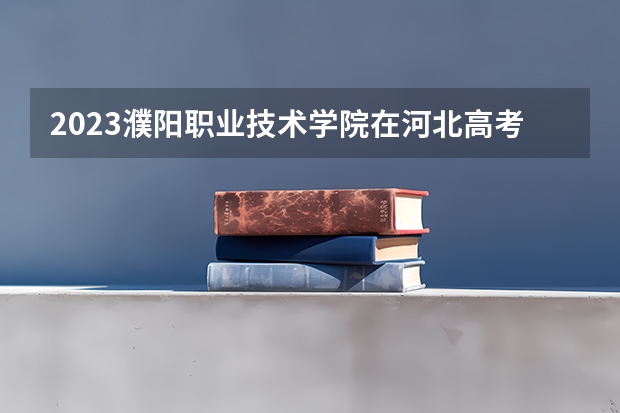 2023濮阳职业技术学院在河北高考专业招生计划人数
