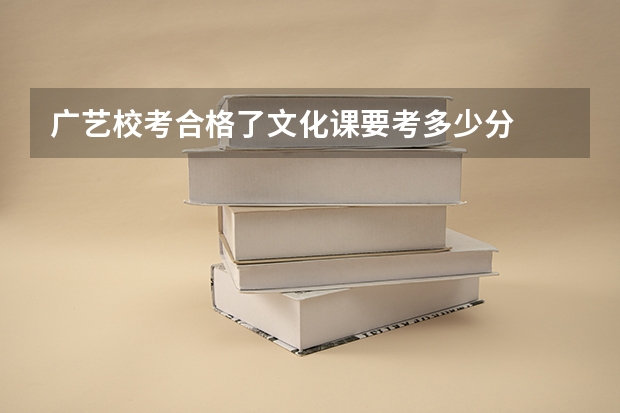 广艺校考合格了文化课要考多少分