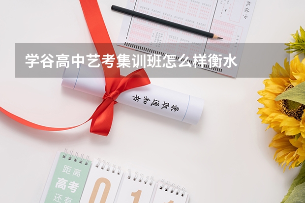 学谷高中艺考集训班怎么样衡水