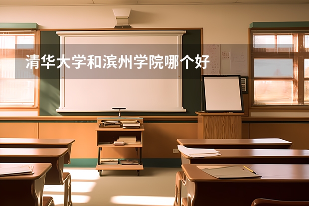 清华大学和滨州学院哪个好