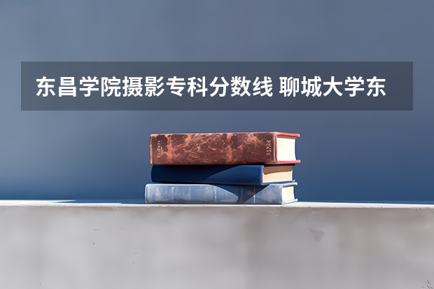 东昌学院摄影专科分数线 聊城大学东昌学院分数线