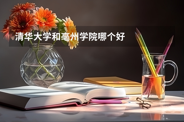 清华大学和亳州学院哪个好