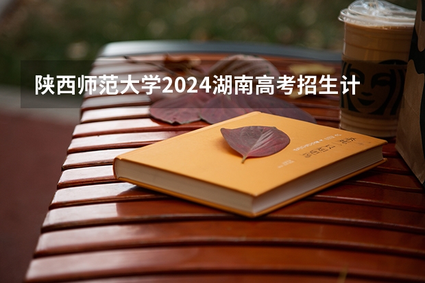 陕西师范大学2024湖南高考招生计划详解