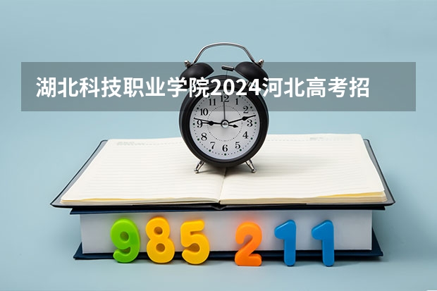 湖北科技职业学院2024河北高考招生计划详解