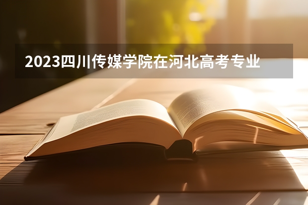 2023四川传媒学院在河北高考专业招生计划人数