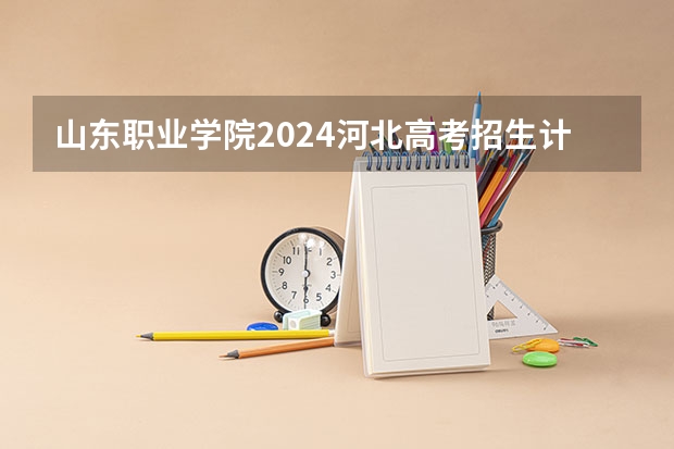 山东职业学院2024河北高考招生计划详解