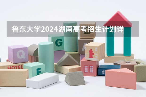 鲁东大学2024湖南高考招生计划详解