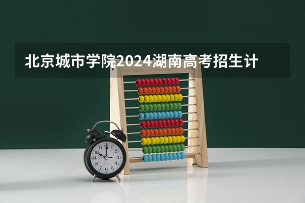 北京城市学院2024湖南高考招生计划详解