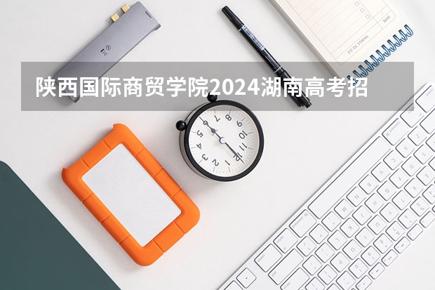 陕西国际商贸学院2024湖南高考招生计划详解