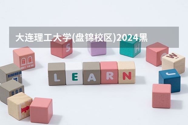 大连理工大学(盘锦校区)2024黑龙江高考招生计划详解