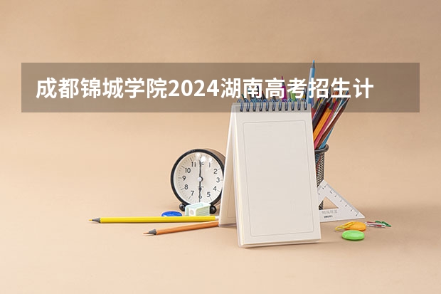 成都锦城学院2024湖南高考招生计划详解