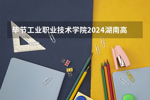 毕节工业职业技术学院2024湖南高考招生计划详解