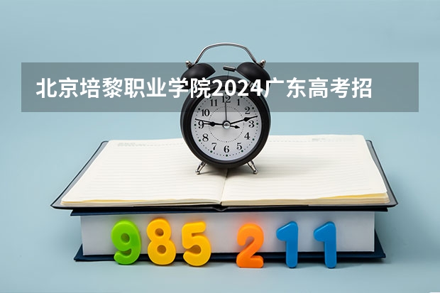 北京培黎职业学院2024广东高考招生计划详解