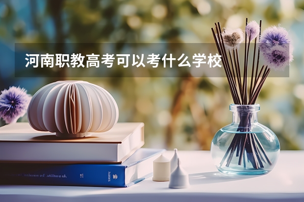 河南职教高考可以考什么学校
