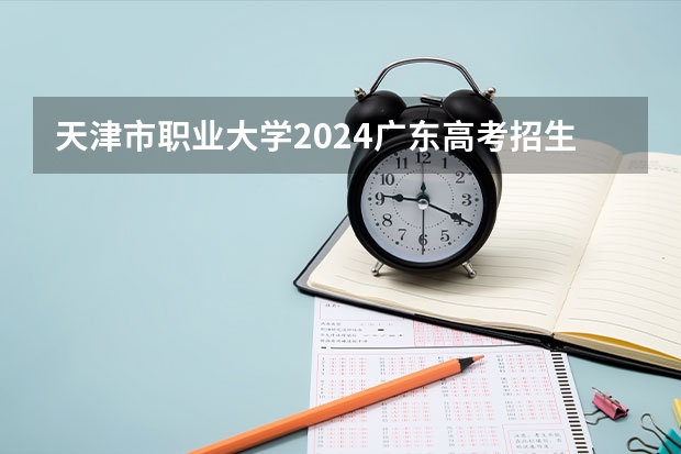 天津市职业大学2024广东高考招生计划详解