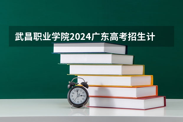 武昌职业学院2024广东高考招生计划详解