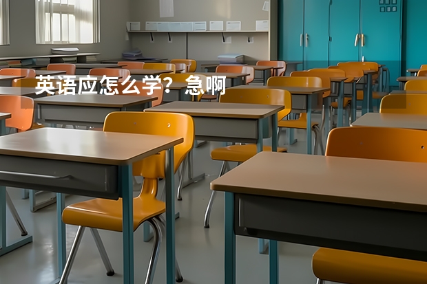 英语应怎么学？急啊