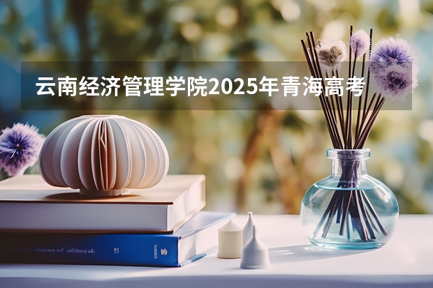 云南经济管理学院2025年青海高考招生计划预测