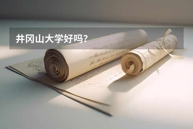 井冈山大学好吗？