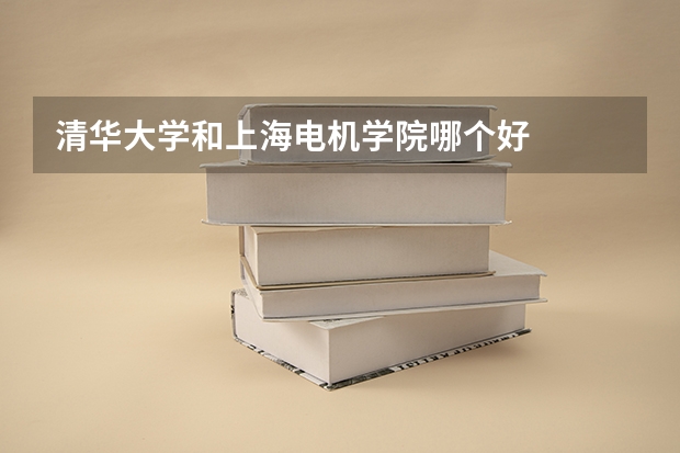 清华大学和上海电机学院哪个好