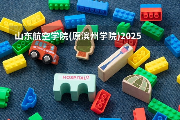 山东航空学院(原滨州学院)2025年新疆高考招生计划预测