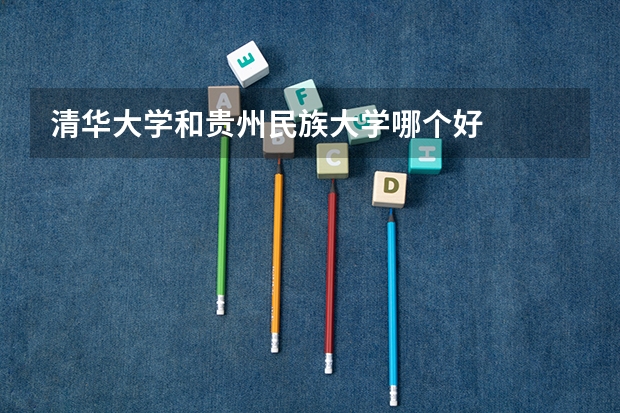 清华大学和贵州民族大学哪个好