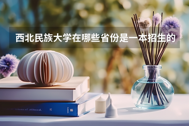 西北民族大学在哪些省份是一本招生的呢？
