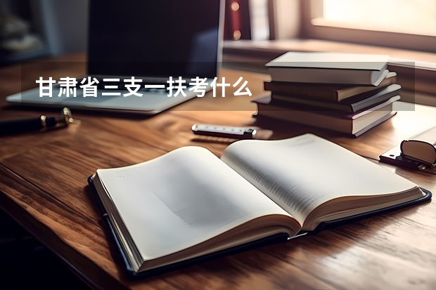 甘肃省三支一扶考什么