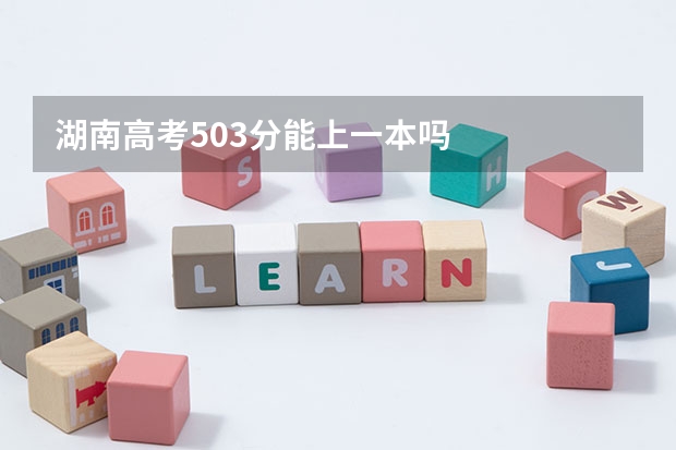 湖南高考503分能上一本吗