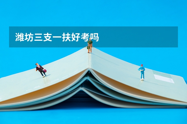 潍坊三支一扶好考吗