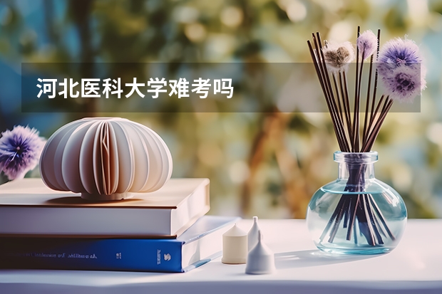 河北医科大学难考吗