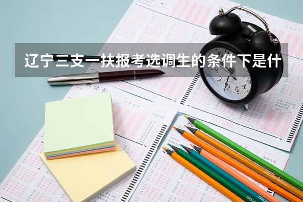 辽宁三支一扶报考选调生的条件下是什么