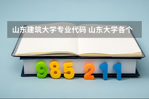 山东建筑大学专业代码 山东大学各个院校代码