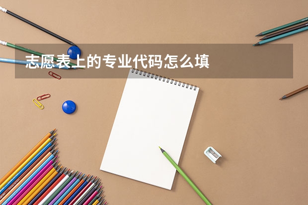 志愿表上的专业代码怎么填