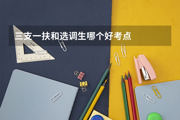 三支一扶和选调生哪个好考点