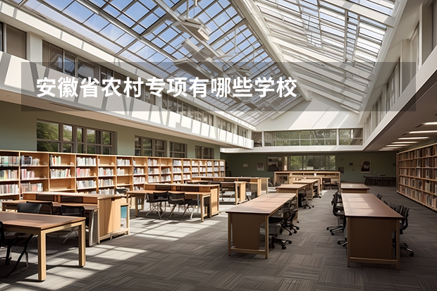 安徽省农村专项有哪些学校
