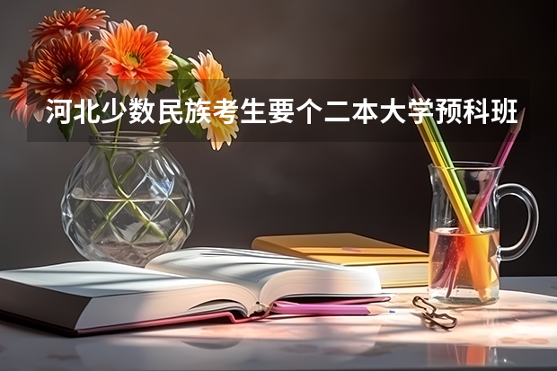 河北少数民族考生要个二本大学预科班得多少分啊