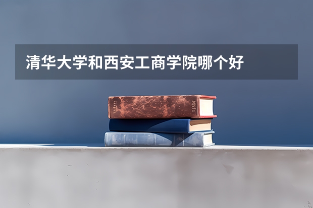 清华大学和西安工商学院哪个好