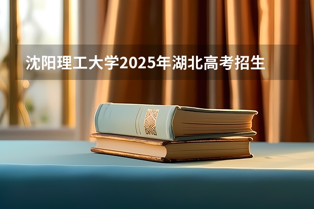 沈阳理工大学2025年湖北高考招生计划预测