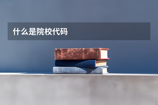 什么是院校代码