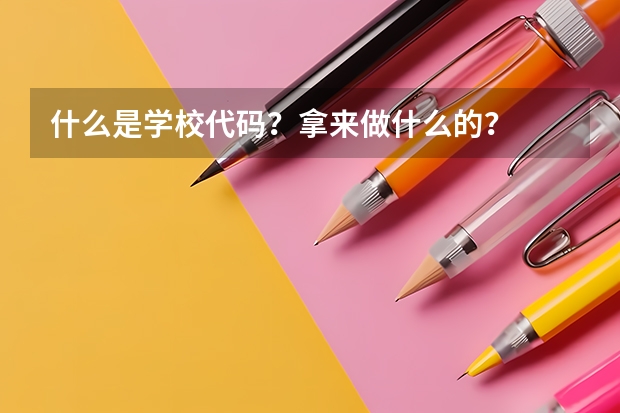 什么是学校代码？拿来做什么的？