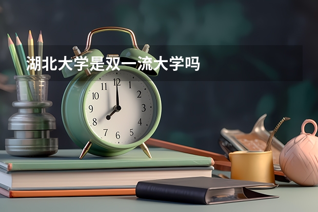 湖北大学是双一流大学吗