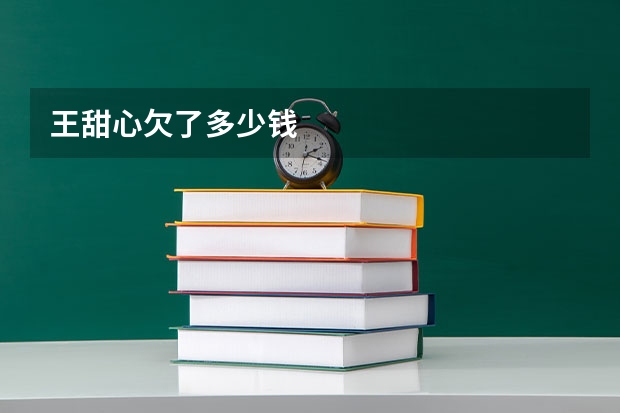 王甜心欠了多少钱