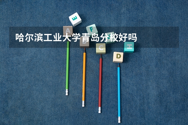 哈尔滨工业大学青岛分校好吗