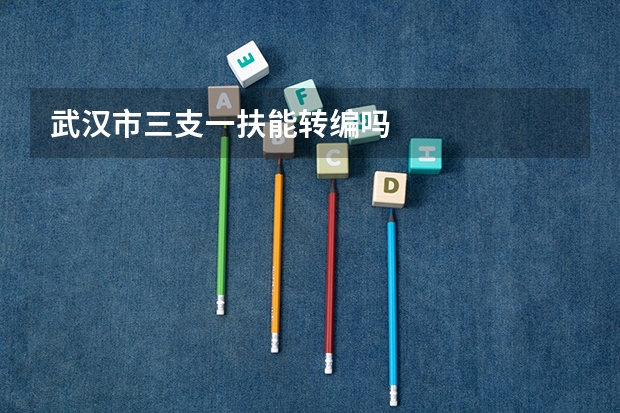 武汉市三支一扶能转编吗