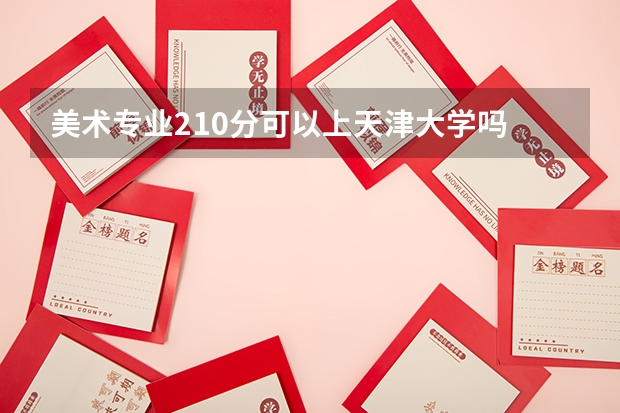 美术专业210分可以上天津大学吗