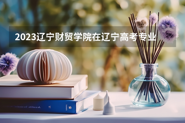 2023辽宁财贸学院在辽宁高考专业招生计划人数